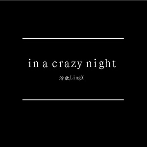 in a crazy night-酱香鸭