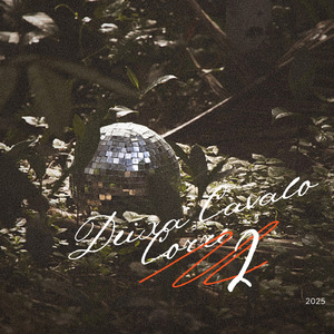 Deixa Cavalo Corre 2