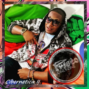 Cibernetica II