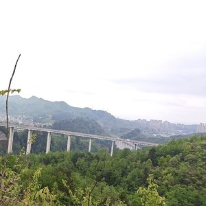 夏忆甜