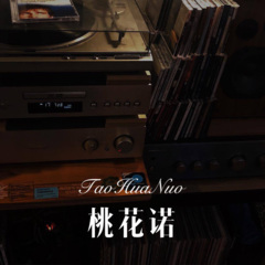 王者荣耀之猜英雄9 (Remix)