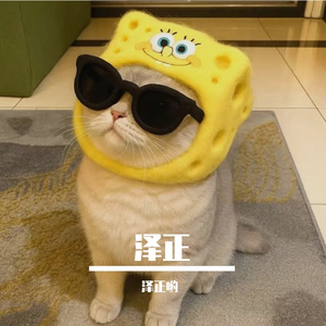 第二个冬天