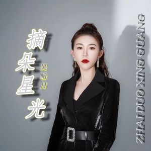 摘朵星光（0.8x版本）