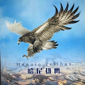 哈尼雄鹰