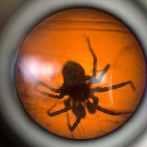 Umbrella - 7:31:25, 12.47 AM