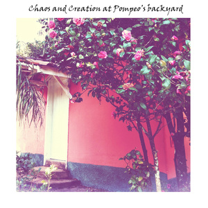 Monkberry Moon Delight