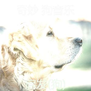 睡觉的小狗-冷静