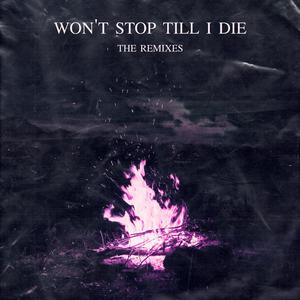 Won't Stop Till I Die (feat. Marseya) [ACE Remix]