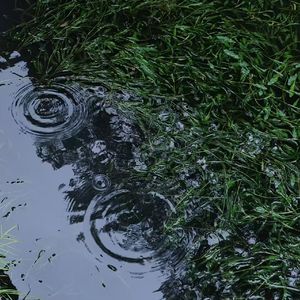 今夜的雨（demo）