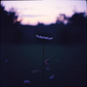 本当にさよなら