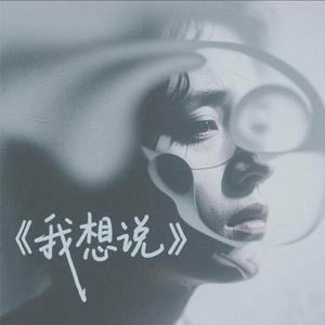 我想说
