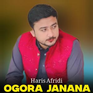 Ogora Janana (Pashto Song) (feat. Haris Afridi)