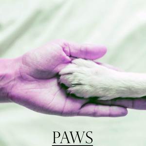 Paws