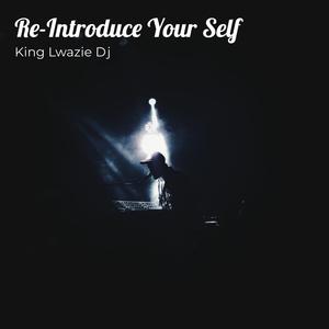 Re-Introduce Your Self (Instrumental)