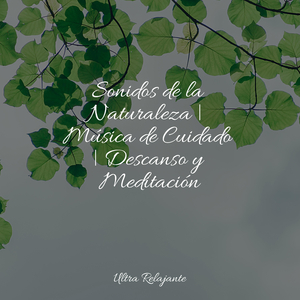 Bendición De La Luna