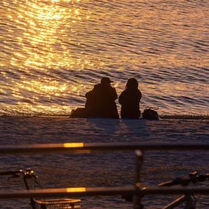 琴键上的泪(向思思)