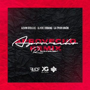 Aprovecho (Remix)