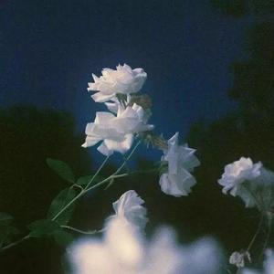 北国（Cover 燕池）