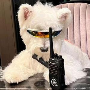 可能 MixDJ （李怡然同学2022）