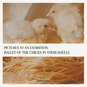 Mussorgsky:Pictures at an Exhibition- Ballet of the Chicks in their Shells