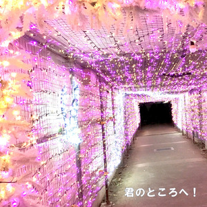 君のところへ！