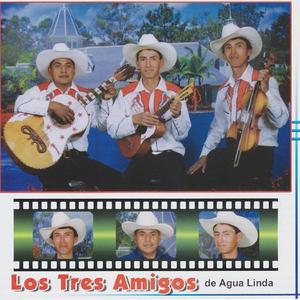 La Guayabita