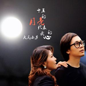 十五的月亮代表我的心 (伴奏)