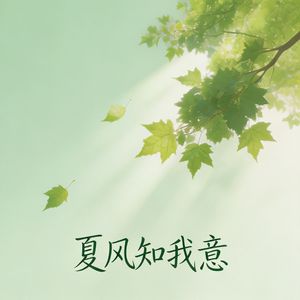 夏风知意-林知夏.wav