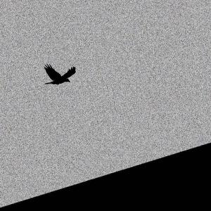 武汉的光(Light in Wuhan.)