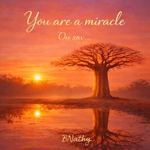 You are a miracle Ou sav