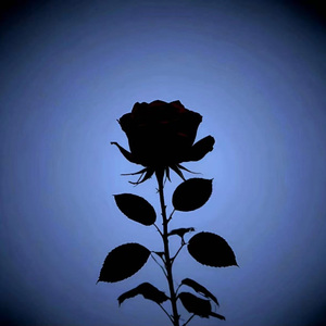 【FREE】 “无人可比” Kyle Richh x Jerk Drill Type Beat