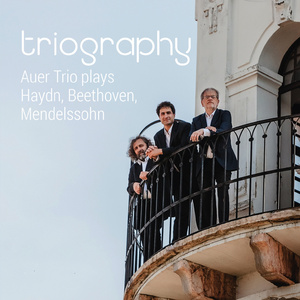 Piano Trio in G Major, Op. 71 No. 1, Hob. XV:21: II. Andante molto