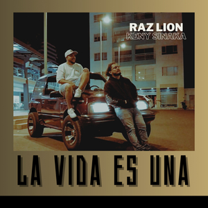 La vida es una