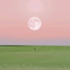 回到心中的那一片草原