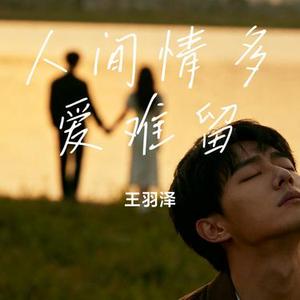人间情多爱难留 (王羽泽 Remix)