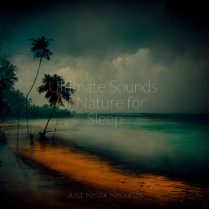 Paradise Rhythms Rising