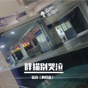胖猫别哭泣