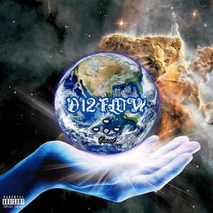 D12 Flow