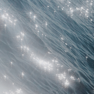 Log (The Humble Bee Remix)