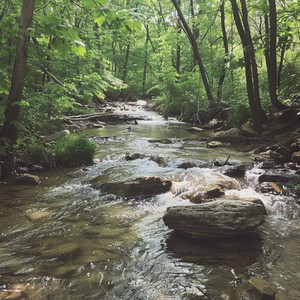 Salpicaduras De Nadar Y Sacudir