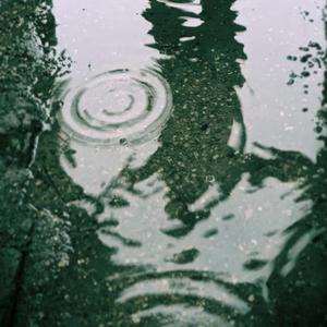 Wiener Regen (German Version)