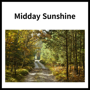 fluoroscopies Rabelaisian