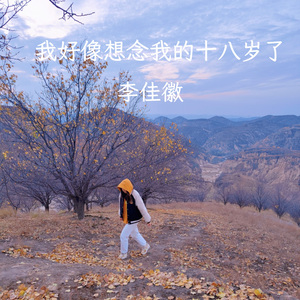 我好像想念十八岁了