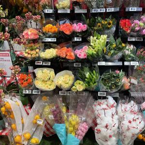 没有你的日子我简直要快疯掉