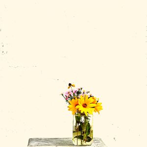 精彩在职的环境