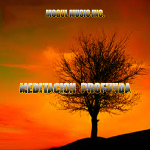 Meditacion Profunda