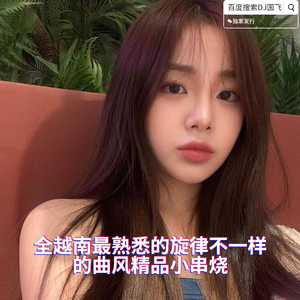 全越南最熟悉的旋律不一样的曲风精品小串烧