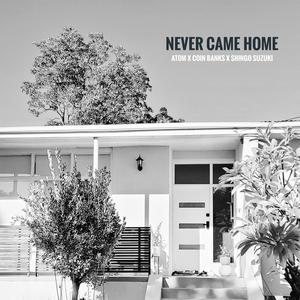 NEVER CAME HOME