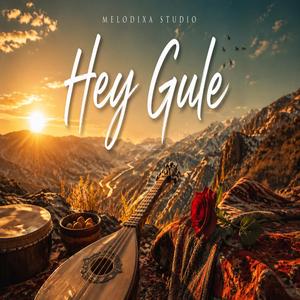 Hey Gule