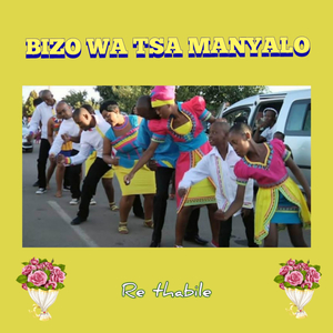 mgatsaka ke tlogo nyala